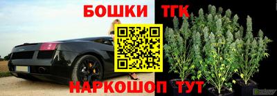 тгк Славгород
