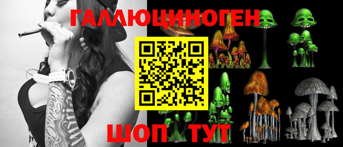 Псилоцибиновые грибы Cubensis  магазин    Рославль  Вход с VPN 